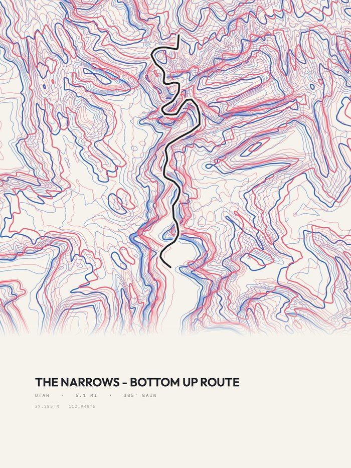 The Narrows Risograph print